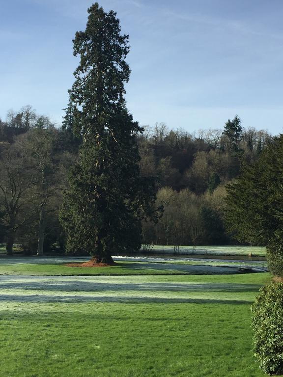 Le Manoir De Benedicte B&B Cahan Dış mekan fotoğraf